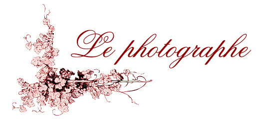 Vitrine miniature : "Le photographe"